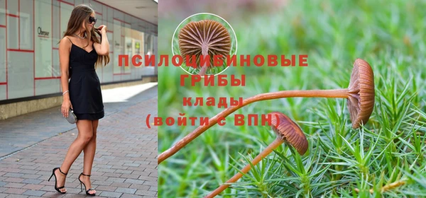 марки lsd Вяземский