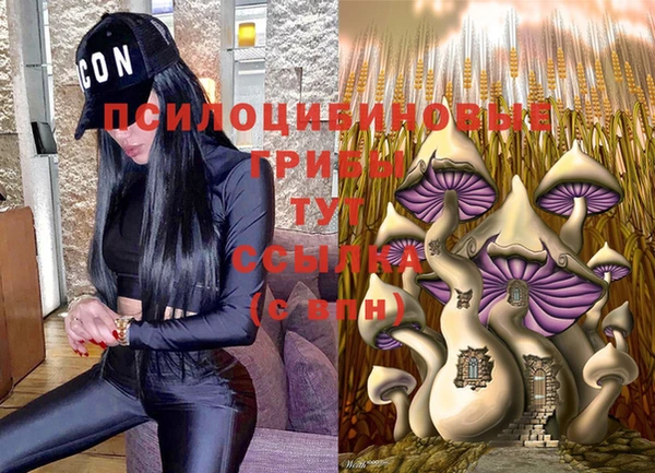 таблы Вязьма