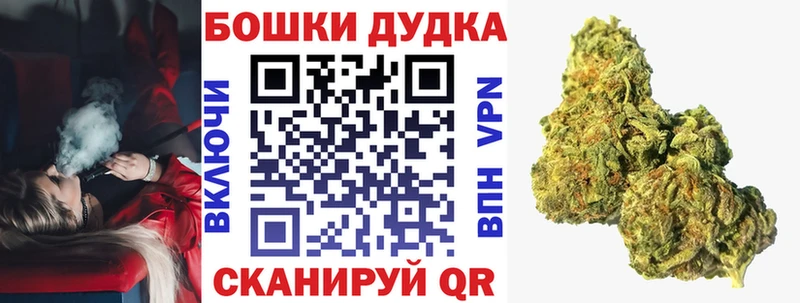 Канабис Amnesia  Купить  Тайшет 